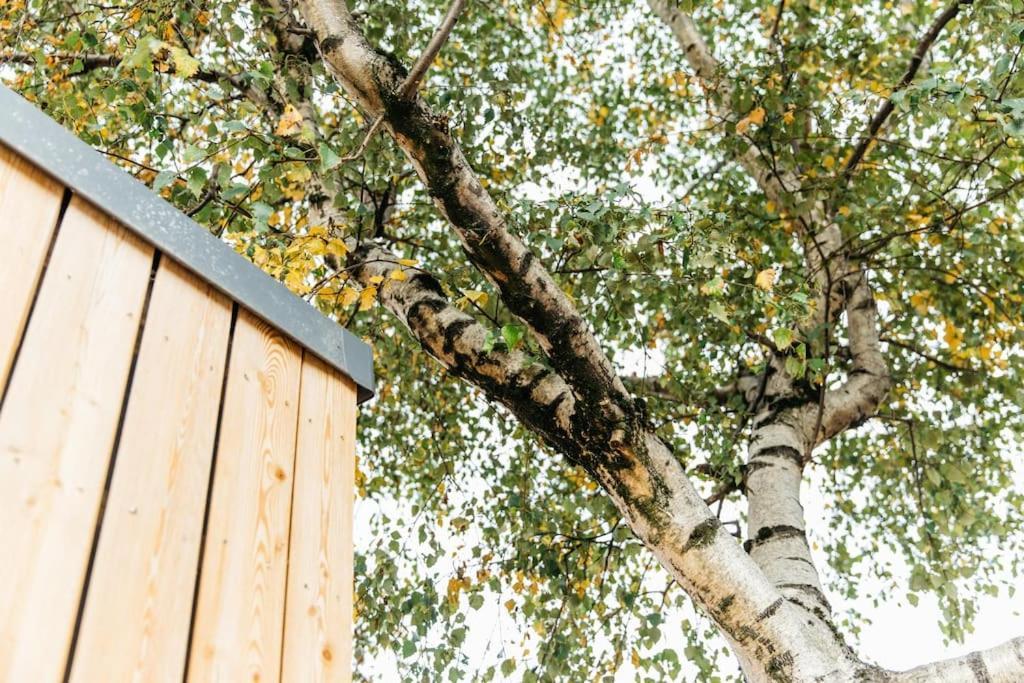 בריסטול Carmen Eco-Pod / Treehouse, Close To Cabot Circus מראה חיצוני תמונה